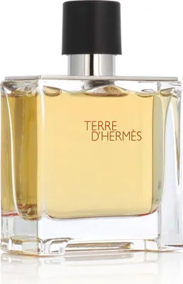 Image de Hermès Terre D'Hermès Parfém 75 ml M