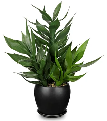 Image de Plante de bambou artificielle décorative - Plante artificielle de 49,8 cm de hauteur, présentée dans un pot noir