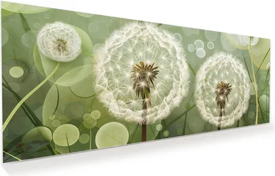 Produktbild von Glasbild 150x60cm in XXL für Wohnzimmer, Schlafzimmer Motiv Löwenzahnzarte Blüten