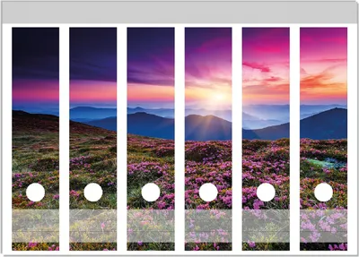 Produktbild von Wallario Ordnerrücken Sticker, selbstklebend für breite Ordner, 6 Stück, Motiv Blumenbedeckte Wiese bei Sonnenuntergang