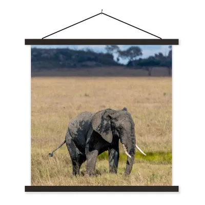 Produktbild von MuchoWow® Textilposter Elefant - Gras - Tiere - Natur 120x120 cm mit schwarzem Rahmen - Aufhängungsset