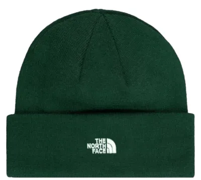 Produktbild von The North Face NORM BEANIE HUNTER GREEN