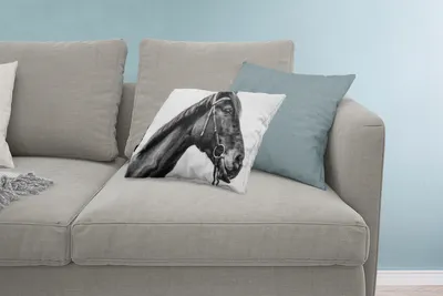 Produktbild von MuchoWow® Zierkissen Sofakissen Wohnzimmer Dekokissen 60x40 cm Pferd - Halfter - Porträt - Kopfkissen - Polster mit Foto