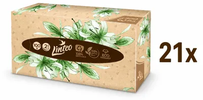 Produktbild von 21er Karton Linteo Kosmetiktücher, 2-lagig, 100 Stück je Box, KI-generiertes Bild