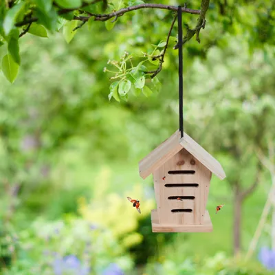 Produktbild von Relaxdays Marienkäferhaus 2x, Marienkäferhotel Garten, zum Aufhängen, Holz unbehandelt, Insektenhotel Marienkäfer, natur