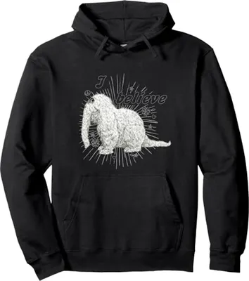 Produktbild von Sesame Street - "I Believe" Kapuzenpullover für Herren/Damen Uni TV23733 (L) (Schwarz)