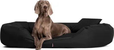 Produktbild von tierlando Hundebett SAMMY Ovales Hundesofa für große Hunde Robuster Polyester Dicke Umrandung - Größe: 140x105cm | Farbe: 03 Schwarz