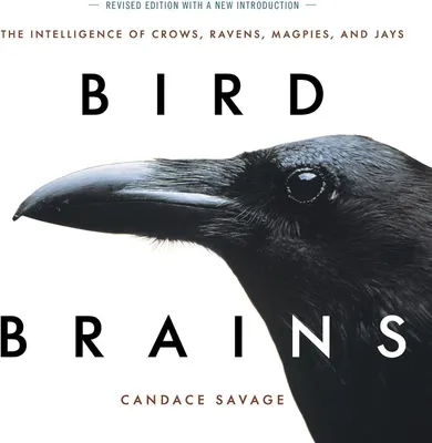 Produktbild von Buch Vogelgehirne: Leben und Verhalten von 16 Rabenvogelarten, Farbfotoband