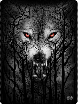 Produktbild von Spiral Decke Forest Wolf multicolor Standard