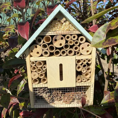 Image de Grand Hôtel à insectes