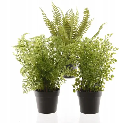 Obrázek produktu pro Umělá kapradina v květináči 30 cm