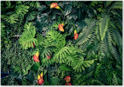Produktbild von Tulup® Glas-Bild - 100 x 70 - Wandbild aus Glas - Wandkunst - Wandbild hinter gehärtetem Sicherheitsglas - Blumen & Pflanzen - Exotischer Dschungel - Grün