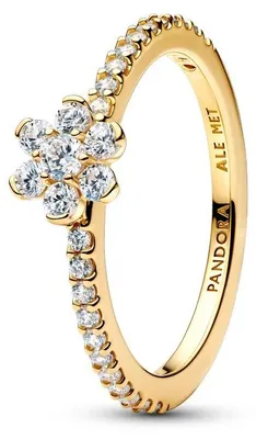 Produktbild von Timeless Damenring mit Zirkoniasteinen, IP Gold von PANDORA