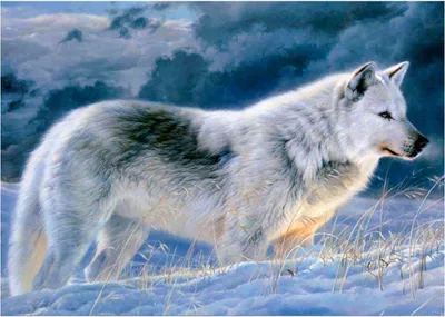 Produktbild von 5D-Diamantmosaik – Wolf 40 x 30 cm – Titanum