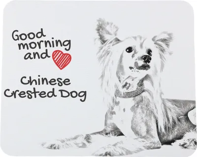 Produktbild von Chinesischer Schopfhund - Mauspad mit Druck, personalisiertes Mauspad mit Hund, einzigartiges Gadget für Büroangestellte von Art-Dog.