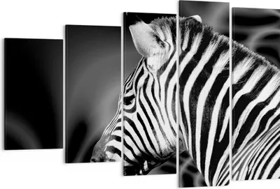 Produktbild von Bild auf Leinwand - Leinwandbild - Tier Zebra Streifen - 150x100cm - Wand Bild - Wanddeko - Leinwanddruck - Bilder - Kunstdruck - Wanddekoration - Leinwand bilder - Wandkunst - EG150x100-0300