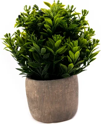 Produktbild von Künstliche Grünpflanze im Topf 18cm - Realistische Deko Blume Pflegeleicht Wohnzimmer