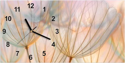 Produktbild von Wanduhr aus Glas mit Motiv Pusteblumen Kunst- 60 x 30 cm - inkl. Aufhängesystem