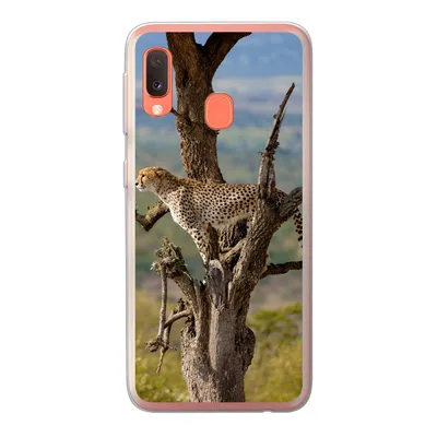 Produktbild von MuchoWow® Handyhülle Schutzhülle Hülle für Samsung Galaxy A20e Leopard - Baum - Tier Silikon Softcase Handy Hülle - Abdeckung