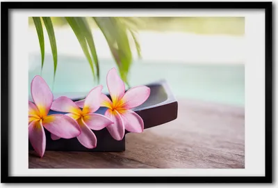 Produktbild von Bild 60x40 MDF-Rahmen, Wandkunst Plumeria