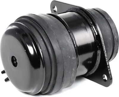 Produktbild von RIDEX Motorlager Gummimetalllager Hinten Rechts für VW POLO (9N) 247E0032