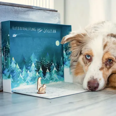 A dog lies next to a board game setup with a winter forest theme.