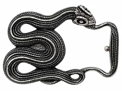 Produktbild von HOME-PRESENTS: umjuBELT Gürtelschließe/Gürtel-Schnalle für Wechselgürtel 4cm Breite, SNAKY SILVER, silberfarben matt