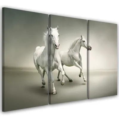 Produktbild von Triptychon auf leinwand tiere - grau 150x100 cm Feeby grau wandbild bereit zum aufhängen