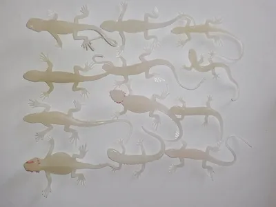 Produktbild von Eidechsen 12erSet nachtleuchtend, Echsen Gecko Spieltiere Kindergeburtstag Spielzeug