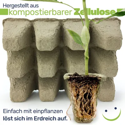 Produktbild von Anzuchtplatte Anzuchttöpfe Saattopf kompostierbar , Menge:36