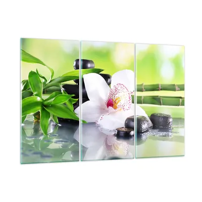 Produktbild von Bilder auf glas - blume orchidee - 105x70cm - Glasbilder - Wandbilder - Kunstdruck - zum Aufhängen bereit - Wanddekoration aus Glas - Glas Bilder - Wandbild auf Glas - 3 Teile - GCE105x70-3659