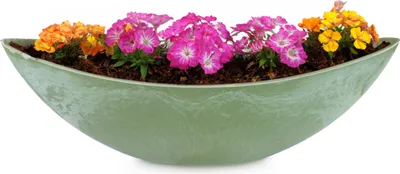 Immagine prodotto di Fioriera ovale grande 55 cm per esterni Ciotola decorativa verde