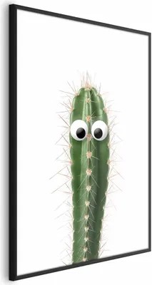 Produktbild von Posterpapier Poster - Living Cactus 60x90 cm Blätter b-A-0397-ao-a