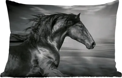 Produktbild von MuchoWow® Outdoor Kissen - Pferd - Tiere - Schwarz - Weiß - 60x40 cm - Wetterfest - Lounge Kissen - Zierkissen - Kissen für Innenräume