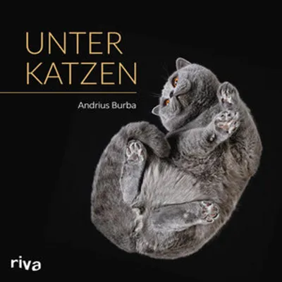 Produktbild von Unter Katzen