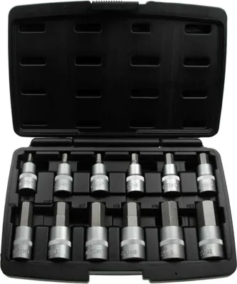 Produktbild von 12 x Innensechskant Einsätze Nuss Steckschlüsseleinsatz Stecknuss 5-22 mm, 1/2"