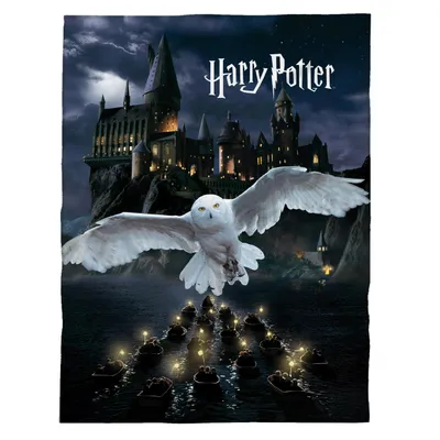 A snowy owl flies towards the viewer over a body of water with many small boats lit by candles, with Hogwarts castle in the background under a dark, cloudy sky.