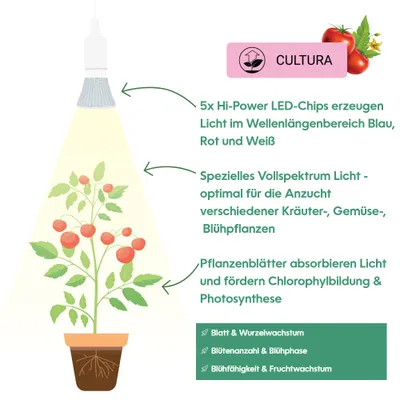 Zdjęcie produktu dla Venso EcoSolutions Cultura, 6 W, E27, 30000 h