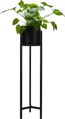 A black metal plant stand with a green plant in a black pot.