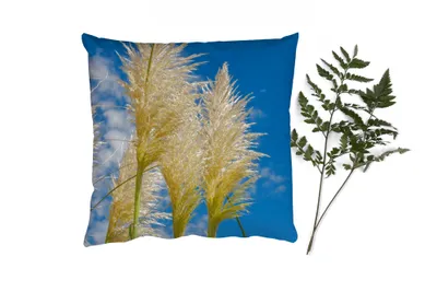 Produktbild von MuchoWow® Zierkissen Sofakissen Wohnzimmer Dekokissen 50x50 cm Pflanzen - Pampasgras - Luft - Komfort - Sofakissen