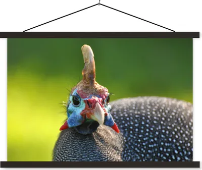Produktbild von MuchoWow® Textilposter Perlhühner - Vögel - Kopf 150x100 cm mit schwarzem Rahmen - Schlafzimmer