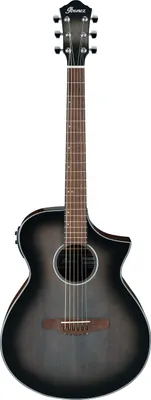 Produktbild von Ibanez AEWC11-TCB