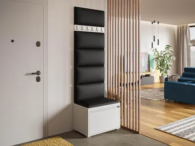 Obrázok produktu pre Predsieňová stena s nástennými čalúnenými panelmi CLENZE 5 - biela / čierna