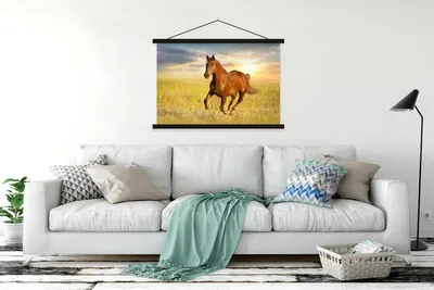 Produktbild von MuchoWow® Textilposter Pferd - Sonne - Gras - Tier 150x100 cm mit schwarzem Rahmen - Schlafzimmer