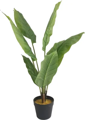 Productafbeelding van Lykke Kunstplant, Vredeslelie, 105 cm