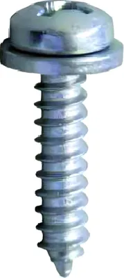 Produktbild von Nummernschildschraube JMP 5,5x25mmm 10 Stück