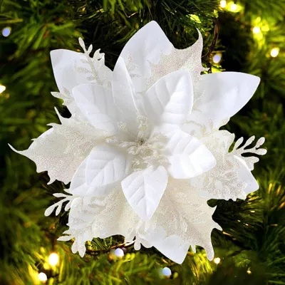 Produktbild von Weihnachtsblume Poinsettie Glitzer Christstern - 15 cm - 12 Stück - Weiß