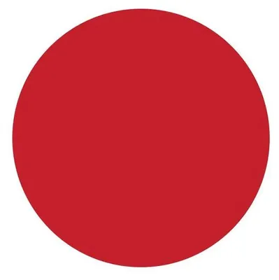 Productafbeelding van Creall Creall Dacta Color Posterverf Rood