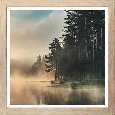 Produktbild von Wandbild - Braun - Weiß - Grün - 35 x 35 cm - Waldsee