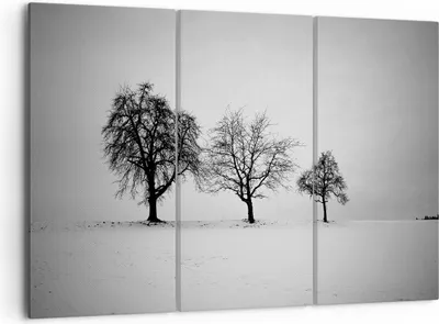 Produktbild von Bild auf Leinwand - Leinwandbild - 3 Teile - Winter Bäume Schnee - 105x70cm - Wand Bild - Wanddeko - Wandbilder - Leinwanddruck - Bilder - Wanddekoration - Leinwand bilder - Wandbild - CE105x70-4958
